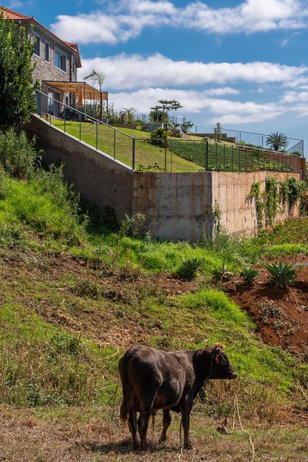 Villa Flora - Nature & Tranquility - Heated Pool Optional Jardim do Mar Exterior photo